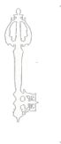 EZIS key